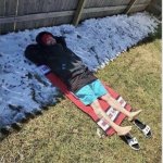 Half in sun and half in shade