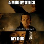 I will not drop the stick! | A MUDDY STICK; MY DOG | image tagged in cast it in the fire | made w/ Imgflip meme maker