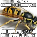 wasp | IF THIS WASP REACHES THE FRONT PAGE; NOTHING WILL HAPPEN BUT IT WOULD BE FUNNY | image tagged in wasp | made w/ Imgflip meme maker