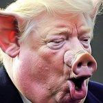 Fascist pig trump
