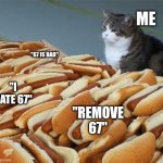 Average imgflip feed | ME; "67 IS BAD"; "I HATE 67"; "REMOVE 67" | image tagged in too many hot dogs,67 | made w/ Imgflip meme maker