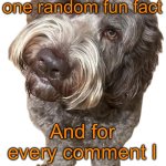 Y’all hate upvote begging because it takes no skill, so I’ll make it take skill | For every upvote I will name one random fun fact; And for every comment I will name two (once per person) | image tagged in norther's dog | made w/ Imgflip meme maker