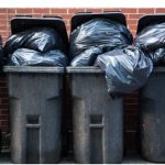 Tragic trash can situation