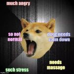 Insanity Doge | much angry such stress doge needs calm down needs massage so not normal | image tagged in insanity doge | made w/ Imgflip meme maker