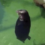 There is no need to be upset GIF Template