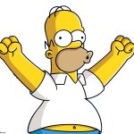 Homer simpson