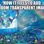 Spot them all! No cheating! | HOW IT FEELS TO ADD RANDOM TRANSPARENT IMAGES: | image tagged in happy dolphin rainbow,stop reading the tags | made w/ Imgflip meme maker