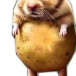 Pipi Potato