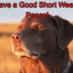Blissful dog | Peace! Have a Good Short Week! | image tagged in blissful dog | made w/ Imgflip meme maker