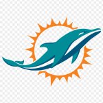 Miami Lolphins