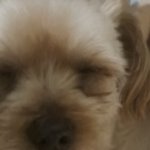 My mom is kinda homeless