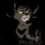 Darkstripe from Warrior Cats