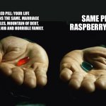 Which pill will you take? | SAME PILL IN RASPBERRY FLAVOR; RED PILL: YOUR LIFE REMAINS THE SAME. MARRIAGE TROUBLES, MOUNTAIN OF DEBT, DEAD END JOB AND HORRIBLE FAMILY. | image tagged in red pill blue pill | made w/ Imgflip meme maker