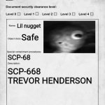 Documents de Lil nugget