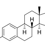 Estrogen