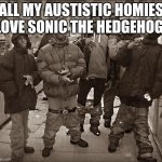 All My Homies Hate | ALL MY AUTISTIC HOMIES LOVE SONIC THE HEDGEHOG! | image tagged in all my homies hate | made w/ Imgflip meme maker