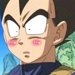 vegeta blush