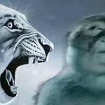 Thinking Monkey and Lion meme