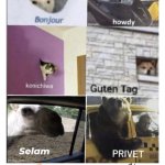 bonjour howdy konichiwa guten tag selam privet hola wsg everyone