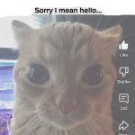 ____..sorry..I mean hello meme