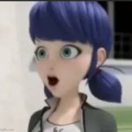 Poggers Marinette