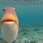 Tea party | Fish in the Boston Harbor on December 16th, 1773 watching gallons of herbs flavor their home: | image tagged in staring fish,boston tea party,boston,history,historical meme,history memes | made w/ Imgflip meme maker