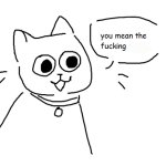 you mean the fucking car?