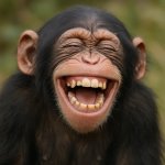 monkey that laughing