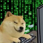 Doge technology
