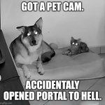 My pets are Demons | GOT A PET CAM. ACCIDENTALY OPENED PORTAL TO HELL. | image tagged in c and k are demons | made w/ Imgflip meme maker