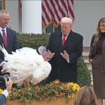 Trump pardons the turkey