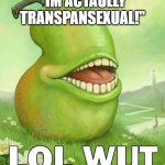 i dont get lbtq lolwut | ''IM ACTAULLY TRANSPANSEXUAL!'' | image tagged in lolwut | made w/ Imgflip meme maker