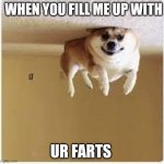 Day 18 Of Lockdown. Filled the dog with helium. | WHEN YOU FILL ME UP WITH; UR FARTS | image tagged in day 18 of lockdown filled the dog with helium | made w/ Imgflip meme maker