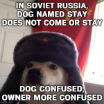 IN SOVIET RUSSIA, DOG NAMED STAY DOES NOT COME OR STAY | IN SOVIET RUSSIA, DOG NAMED STAY DOES NOT COME OR STAY; DOG CONFUSED, OWNER MORE CONFUSED | image tagged in russian doge,dogs,doge,in soviet russia,russia,soviet union | made w/ Imgflip meme maker