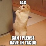 Can I Has Food | JAG; CAN I PLEASE HAVE LH TACOS | image tagged in can i has food | made w/ Imgflip meme maker