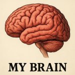 My brain