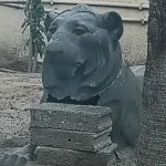 burdened Lion no concern