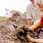 jurassic park search in poop GIF Template