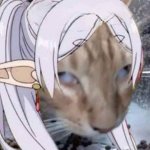 Frieren remembers | cat