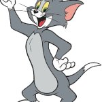 Tom the cat (lenny's cat)