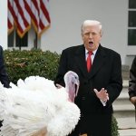 Thanksgiving Trump meme