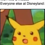 Surprised Pikachu | Me: Kills a mouse; Everyone else at Disneyland: | image tagged in surprised pikachu,disney,death,dark humor,disneyland,mickey mouse | made w/ Imgflip meme maker