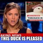 Breaking News | THIS DUCK IS PLEASED | image tagged in breaking news | made w/ Imgflip meme maker