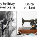 Woodpecker Travel Plans