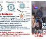 Cuban Syndemic Arbovirosis meme
