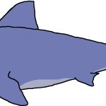 Female Megalodon (Paleoverse + EOIverse)