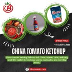 China Tomato Ketchup