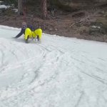 Sliding into DMs GIF Template