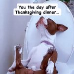 the day after | image tagged in gifs,dinner | made w/ Imgflip video-to-gif maker