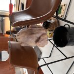 Redneck Thanksgiving